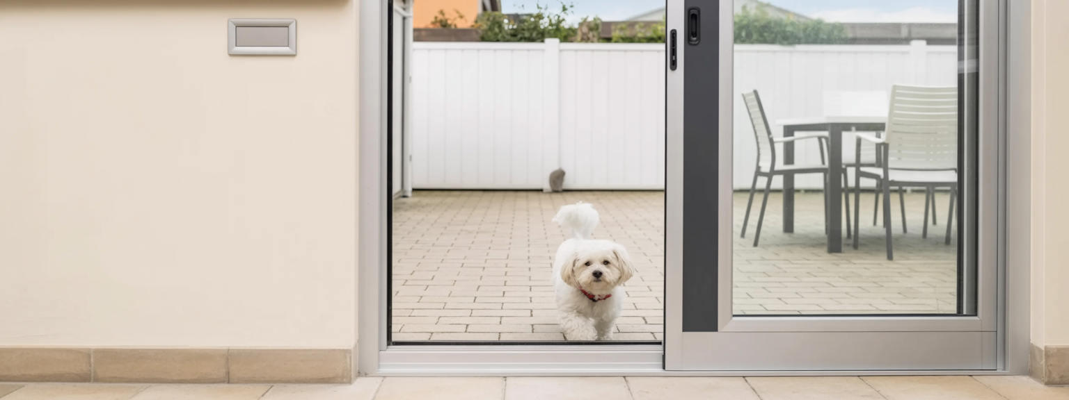 Automatic Dog Doors