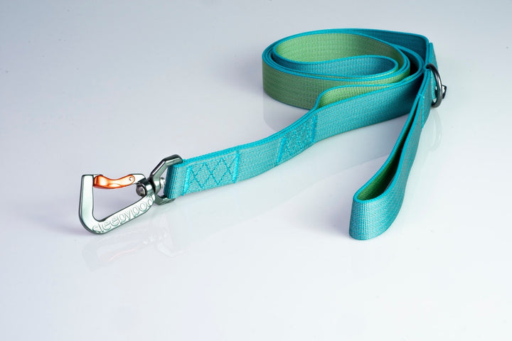 Sleepypod Power Leash - Blue Lagoon Chromaweave - Leash by Sleepypod