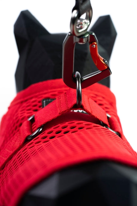 Sleepypod Martingale Cat Calming Harness - - Harness by Sleepypod