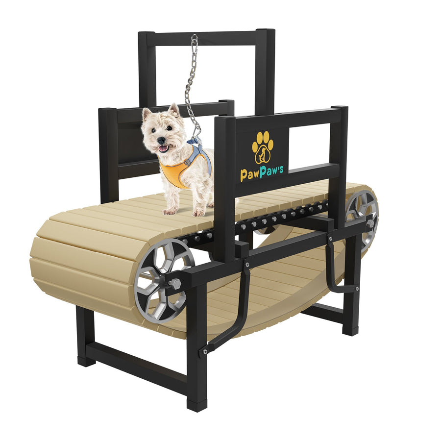 PawPaw's Dog Treadmill for Small Dogs, Mini Dogs - - Dog Treadmills by PawPaw's
