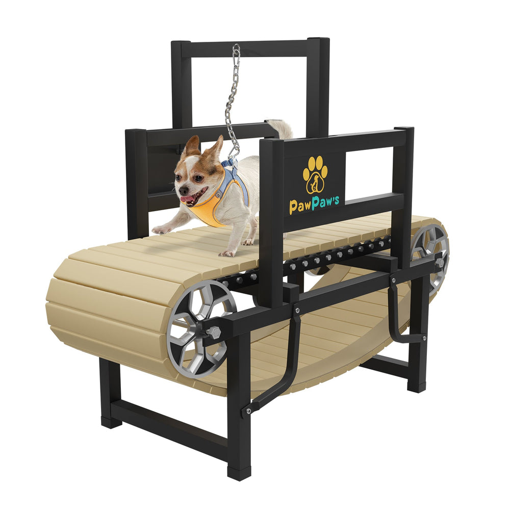 PawPaw's Dog Treadmill for Small Dogs, Mini Dogs - - Dog Treadmills by PawPaw's