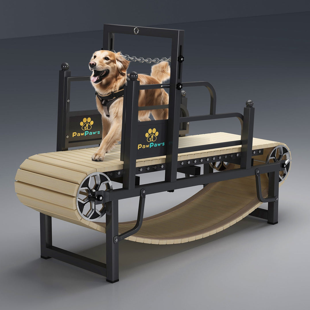 PawPaw's Dog Treadmill For Large Dogs - - Dog Treadmills by PawPaw's