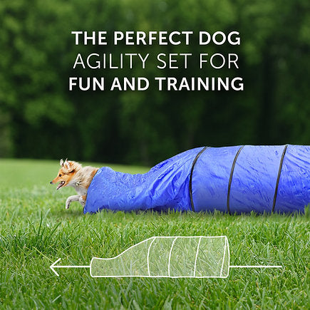 Better Sporting Dogs 7 Piece Deluxe Dog Agility Equipment Set - - by Better Sporting Dogs