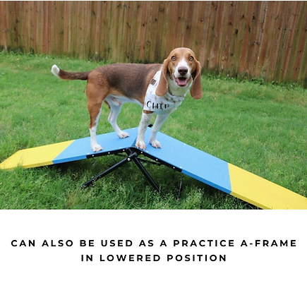 Better Sporting Dogs Practice See Saw | Dog Agility Teeter | Dog Agility Equipment - - by Better Sporting Dogs