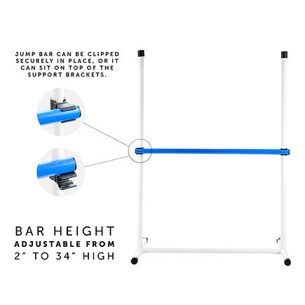 Better Sporting Dogs 3 Piece Essential Dog Agility Equipment Set - - by Better Sporting Dogs