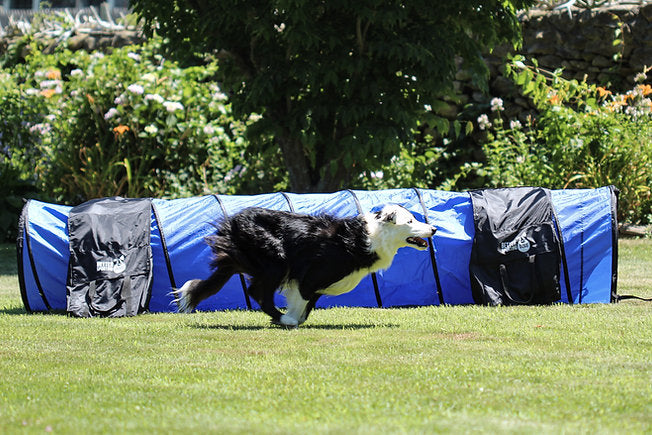 Better Sporting Dogs 10 Foot Dog Agility Tunnel with Sandbags - - by Better Sporting Dogs