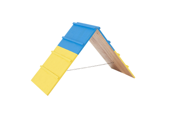 Better Sporting Dogs Practice A-Frame | Dog Agility Equipment - - by Better Sporting Dogs