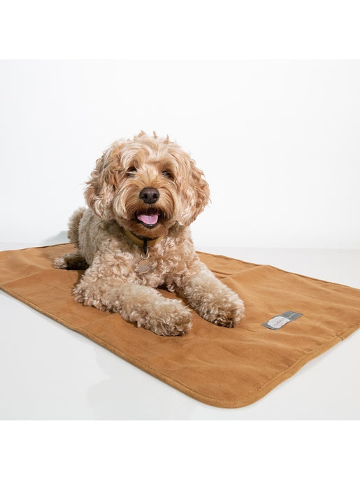 Sleepypod Cloudpuff Pet Blanket - - Dog Blanket by Sleepypod