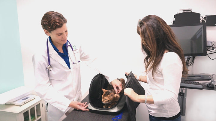 Sleepypod Air Pet Carrier - - Pet Carrier by Sleepypod