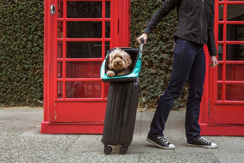 Sleepypod Air Pet Carrier - - Pet Carrier by Sleepypod
