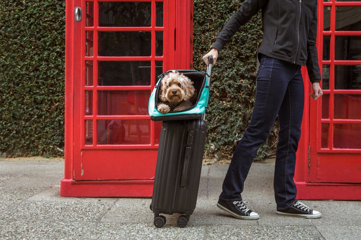 Sleepypod Air Pet Carrier - - Pet Carrier by Sleepypod