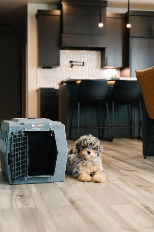 RuffLand Mid-Size Kennel - - Dog crates by Ruff Land Performance Kennels