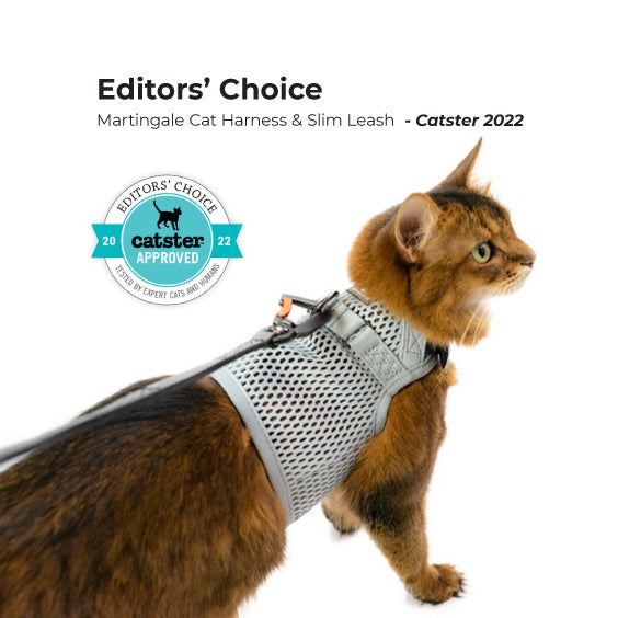 Sleepypod Martingale Cat Calming Harness - - Harness by Sleepypod