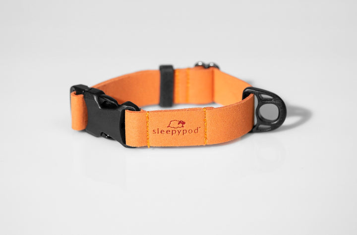 Sleepypod Comfort Suede Dog Collar - Mandarin Orange Suede - Collar by Sleepypod