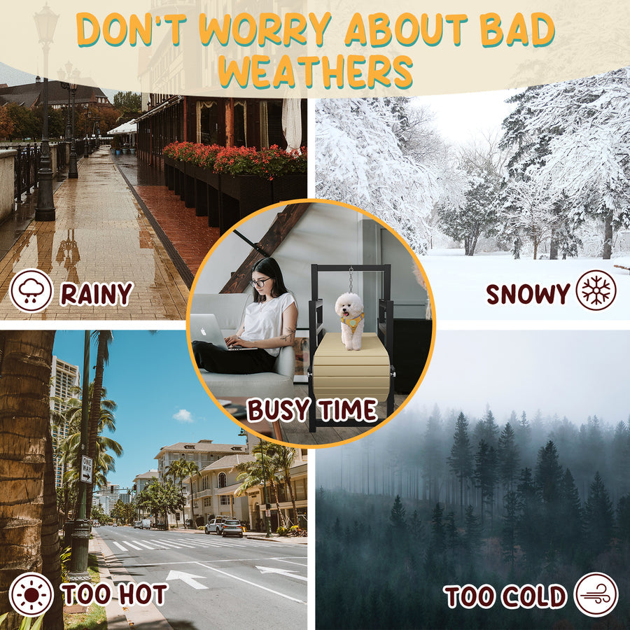 PawPaw's Dog Treadmill for Small Dogs, Mini Dogs - - Dog Treadmills by PawPaw's