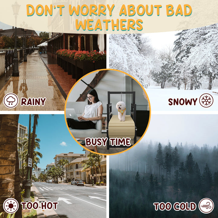 PawPaw's Dog Treadmill for Small Dogs, Mini Dogs - - Dog Treadmills by PawPaw's