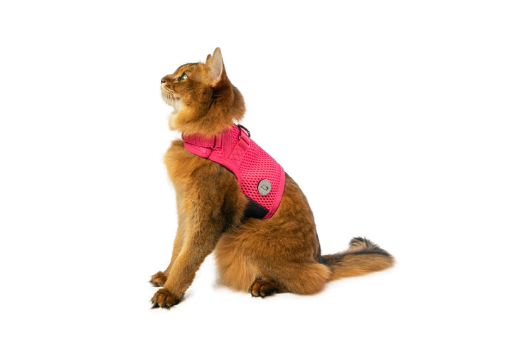 Sleepypod Martingale Cat Calming Harness - Pink Peony Mesh - Harness by Sleepypod