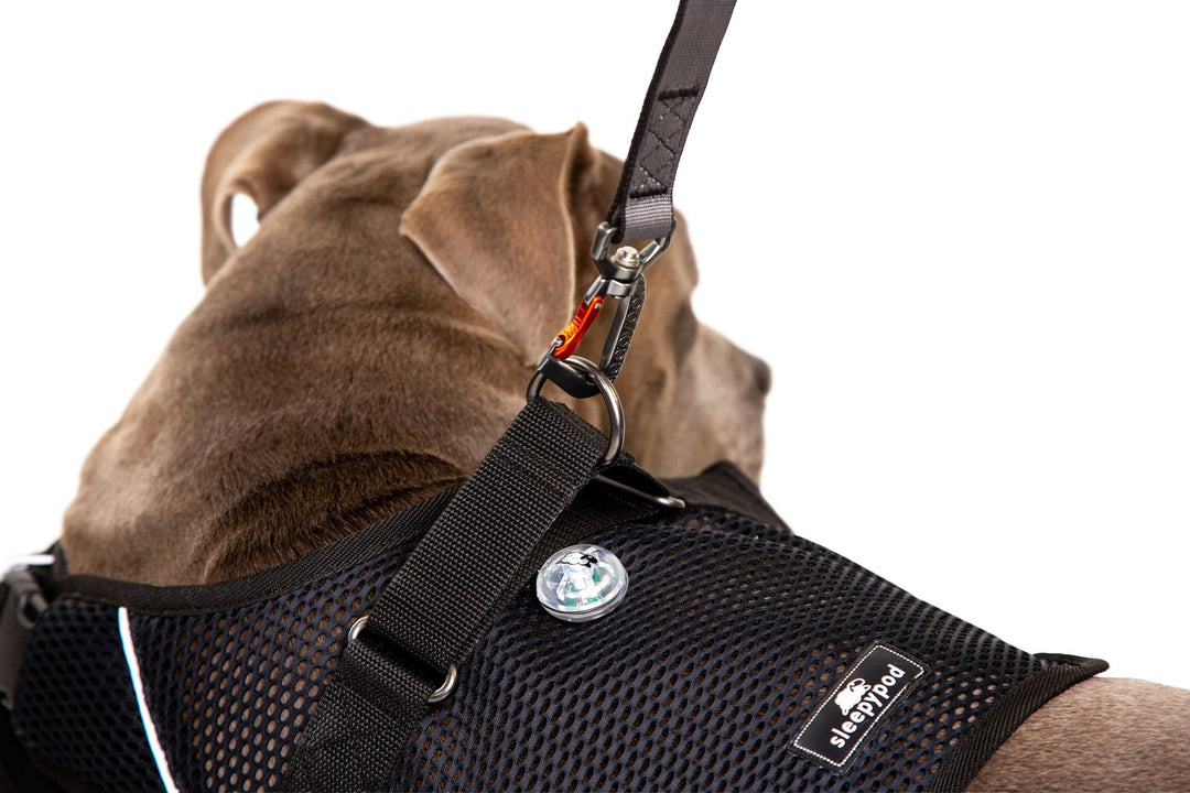Sleepypod Martingale Dog Calming Harness - - Harness by Sleepypod