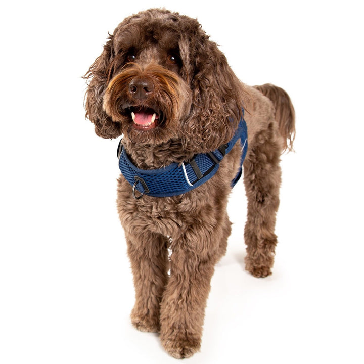 Sleepypod Martingale Dog Calming Harness - - Harness by Sleepypod