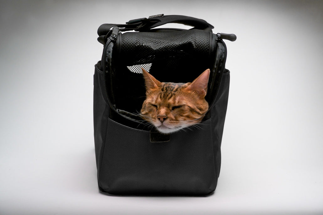 Sleepypod Atom Pet Carrier - - Pet Carrier by Sleepypod