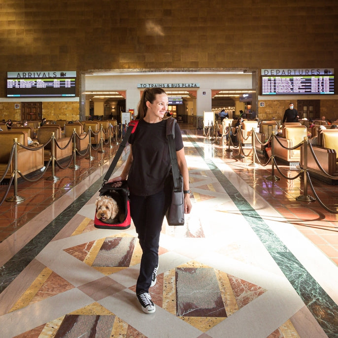 Sleepypod Air Pet Carrier - - Pet Carrier by Sleepypod