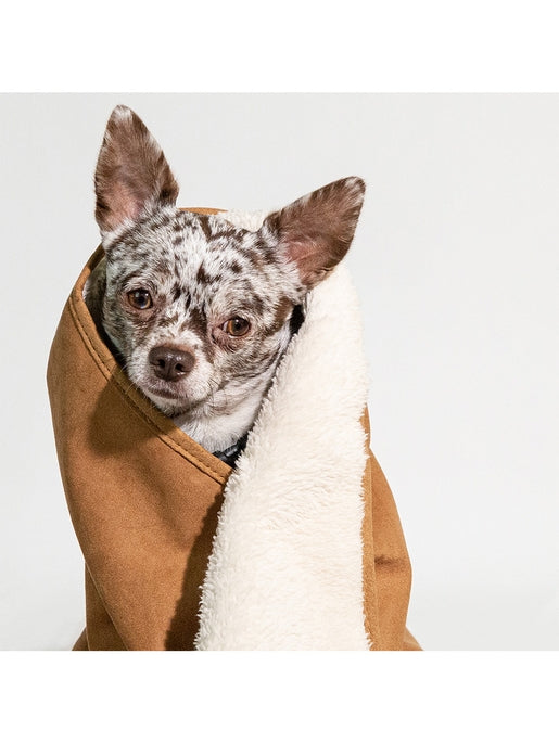 Sleepypod Cloudpuff Pet Blanket - - Dog Blanket by Sleepypod