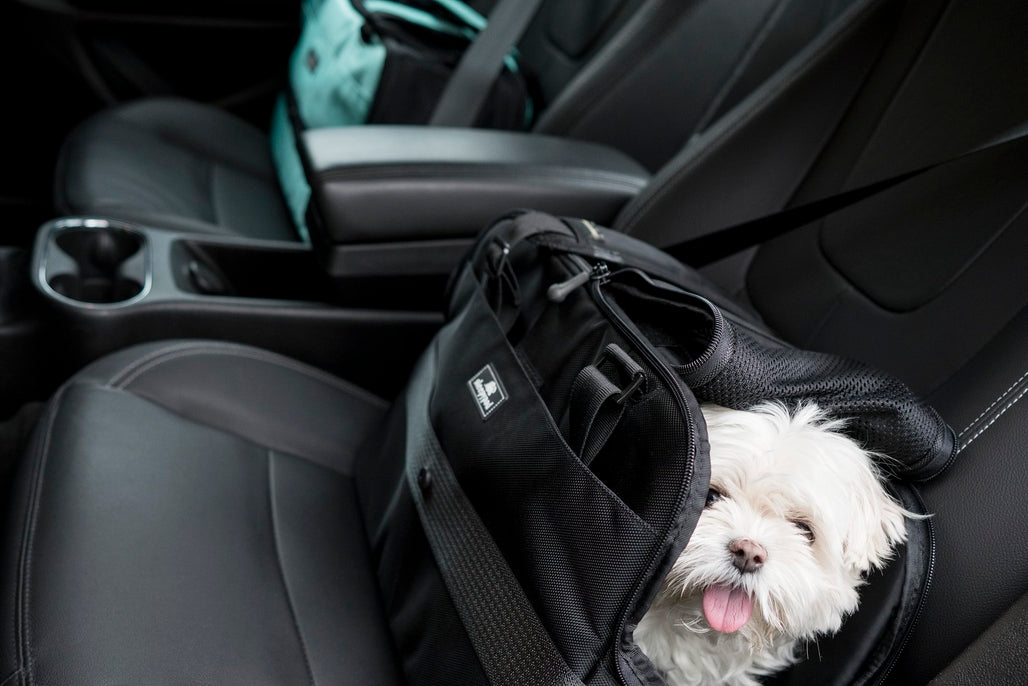 Sleepypod Atom Pet Carrier - - Pet Carrier by Sleepypod