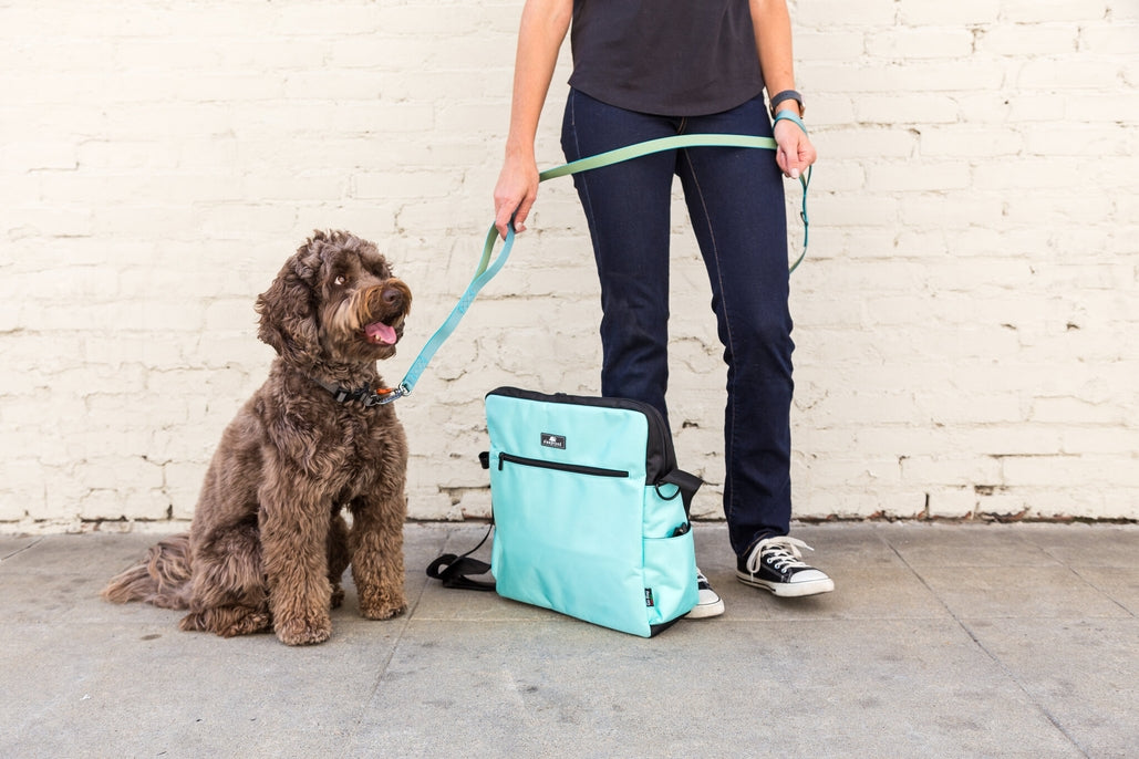 Sleepypod Go Travel Bag - - by Sleepypod