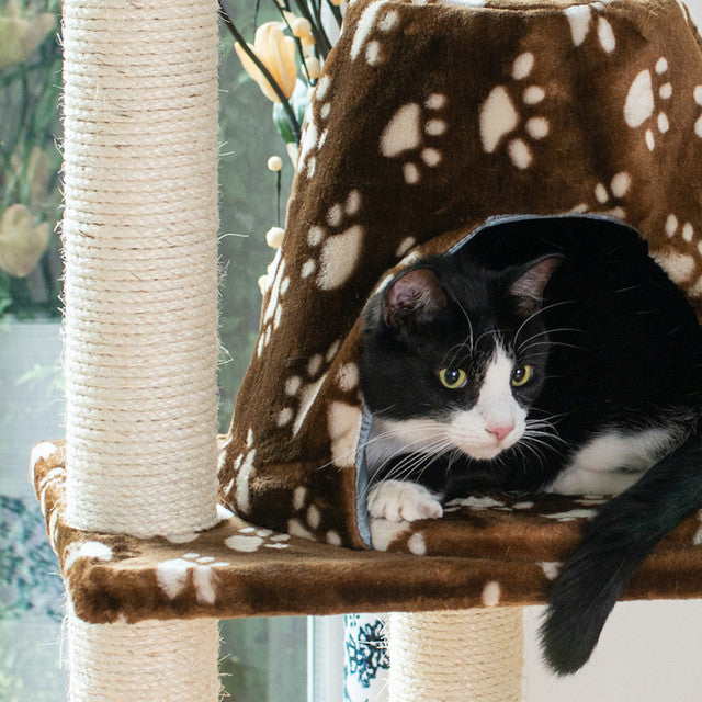 Armarkat 66" Real Wood Cat Tree with Hammock, Bed and Natural Sisal Post - - Cat Tree by Armarkat