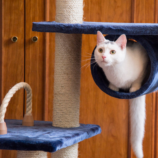 Armarkat 71" Navy Real Wood Cat Climbing Tower - - Cat Tree by Armarkat