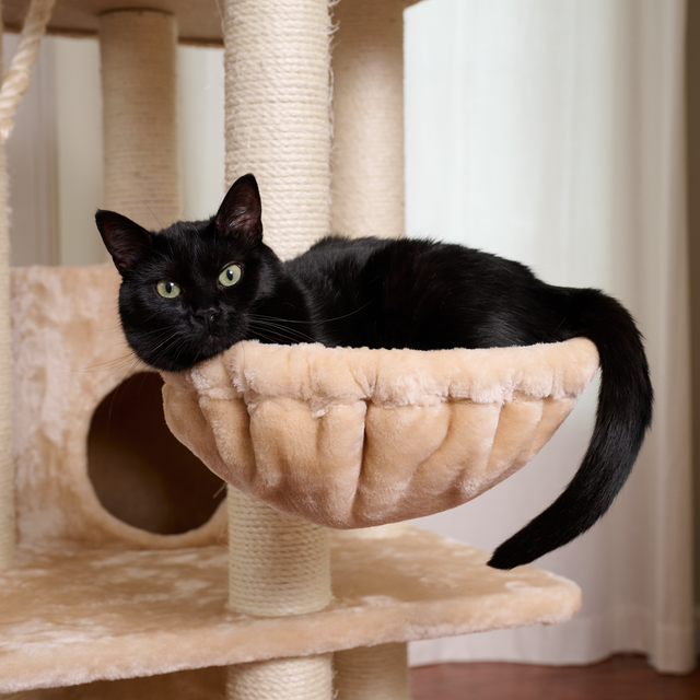 Armarkat 84" Royal Perch Cat Mansion - - Cat Tree by Armarkat
