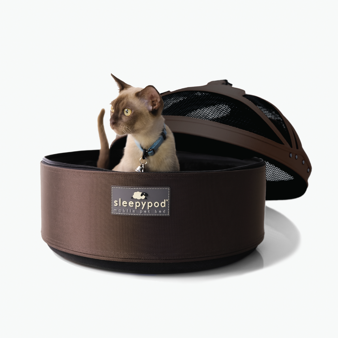 Sleepypod Mobile Pet Bed - Dark Chocolate - Pet Carrier by Sleepypod