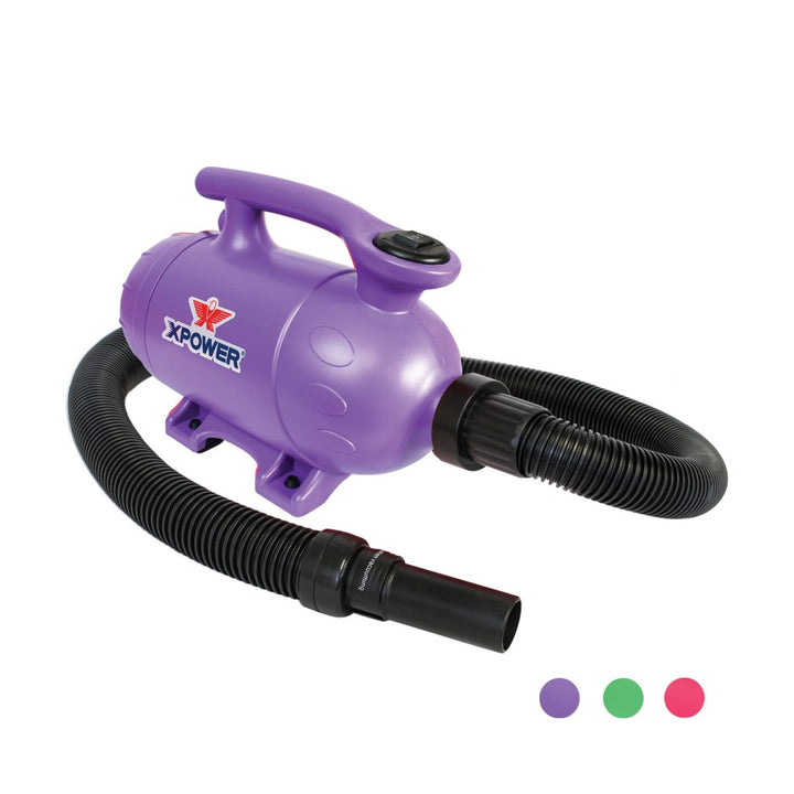 XPOWER B-2 Pro-at-Home Pet Dryer - Purple - Pet dryers by XPOWER