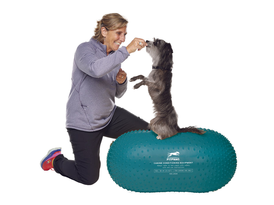 FitPAWS Trax Peanut Dog Training Platform - - Training by FitPAWS