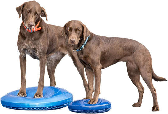 FitPAWS Balance Discs - - Training by FitPAWS
