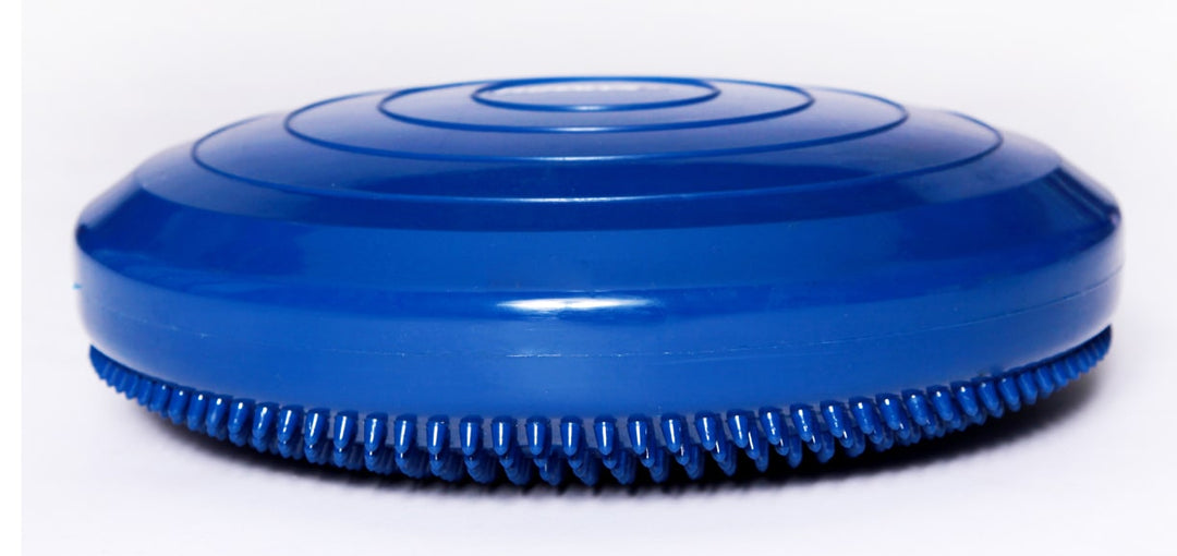 FitPAWS Balance Discs - - Training by FitPAWS