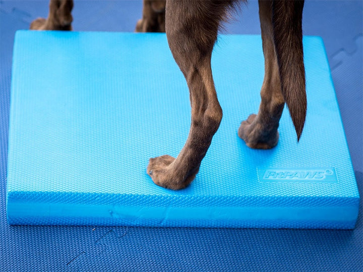 FitPAWS Balance Pad - - Training by FitPAWS