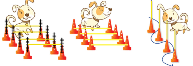 FitPAWS Hurdle Set - - Training by FitPAWS