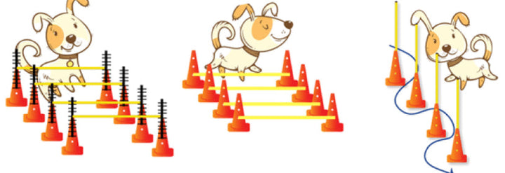 FitPAWS Hurdle Set - - Training by FitPAWS