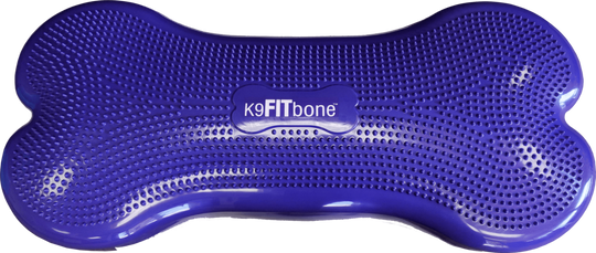 FitPAWS Giant K9FITbone Dog Balance Training Platform - Purple - Training by FitPAWS