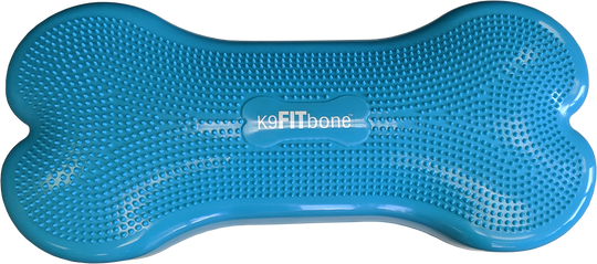 FitPAWS Giant K9FITbone Dog Balance Training Platform - Turquoise - Training by FitPAWS