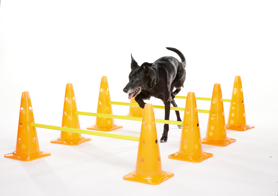 FitPAWS Hurdle Set - - Training by FitPAWS