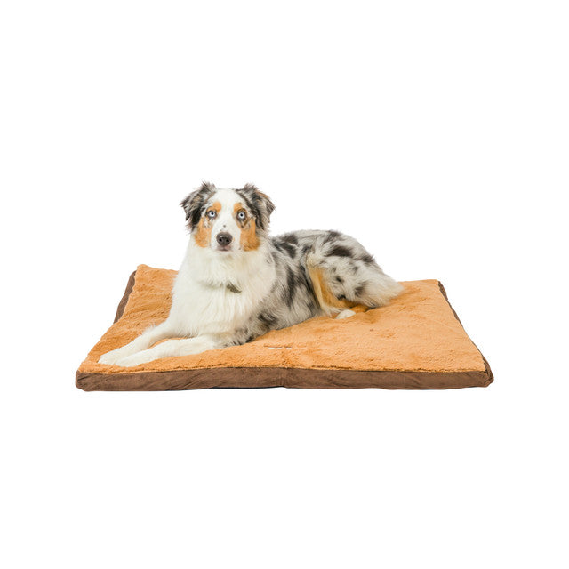 Armarkat Dog Bed/Mat with Poly Fill Cushion - Mocha/Earth Brown - Large - Dog bed by Armarkat