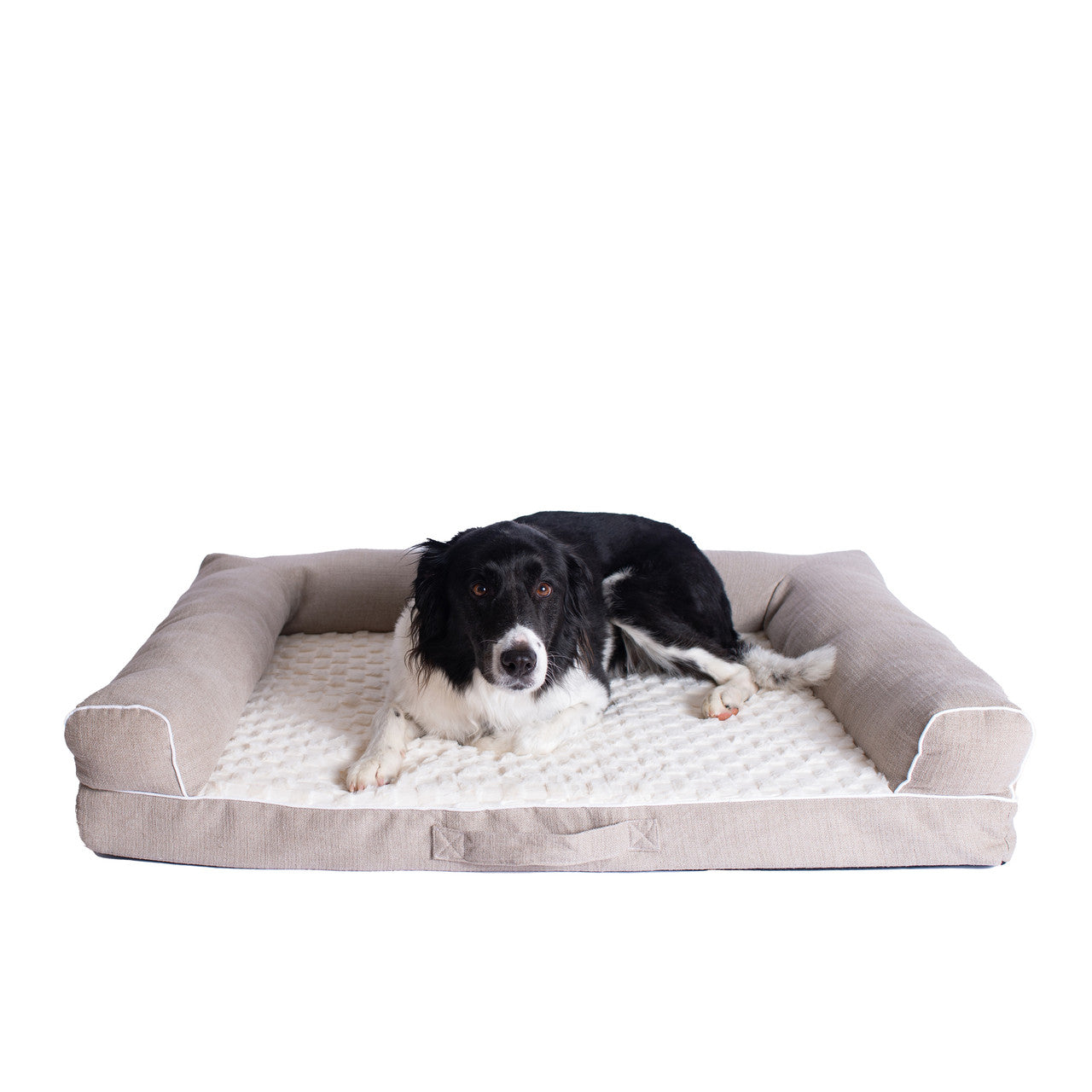 Armarkat Medium Bolstered Dog Bed with Memory Foam - - Dog bed by Armarkat