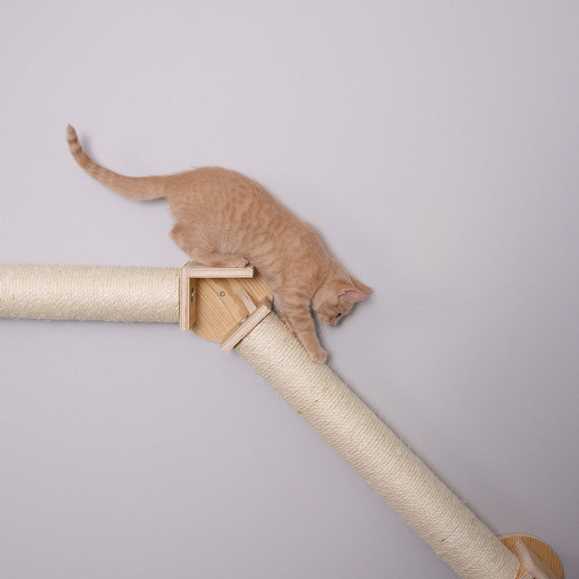 Armarkat Bridge Series Wall Climbing Cat Post - - Cat Post by Armarkat