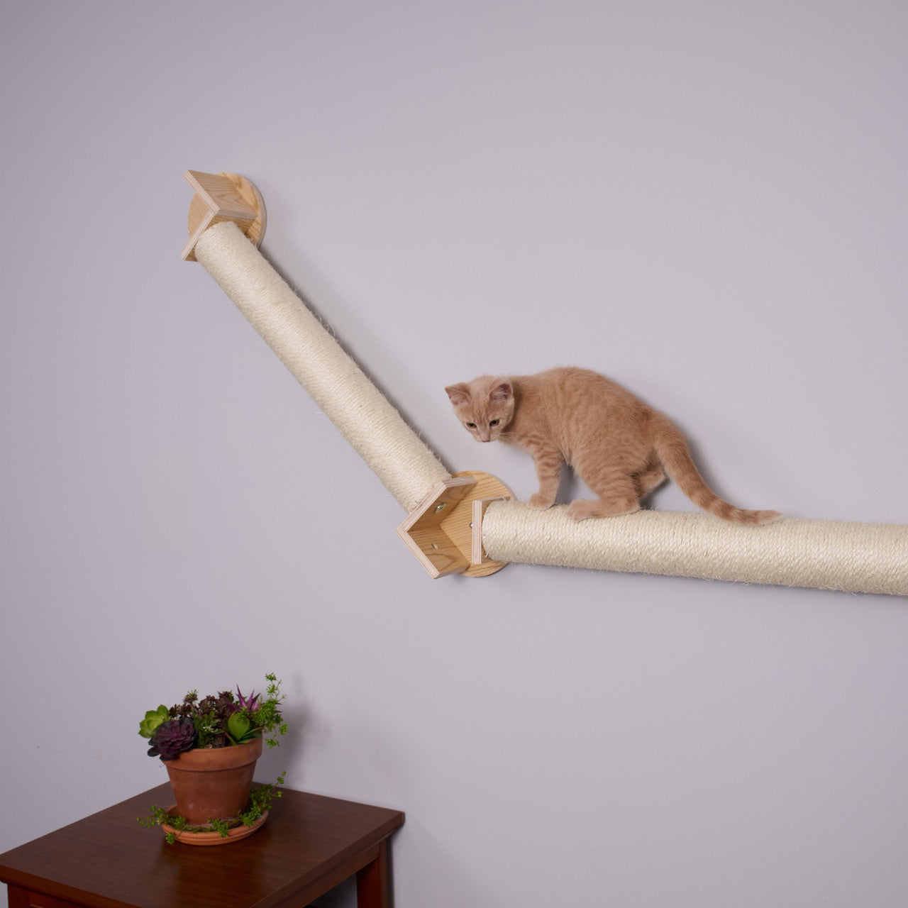 Armarkat Bridge Series Wall Climbing Cat Post - - Cat Post by Armarkat