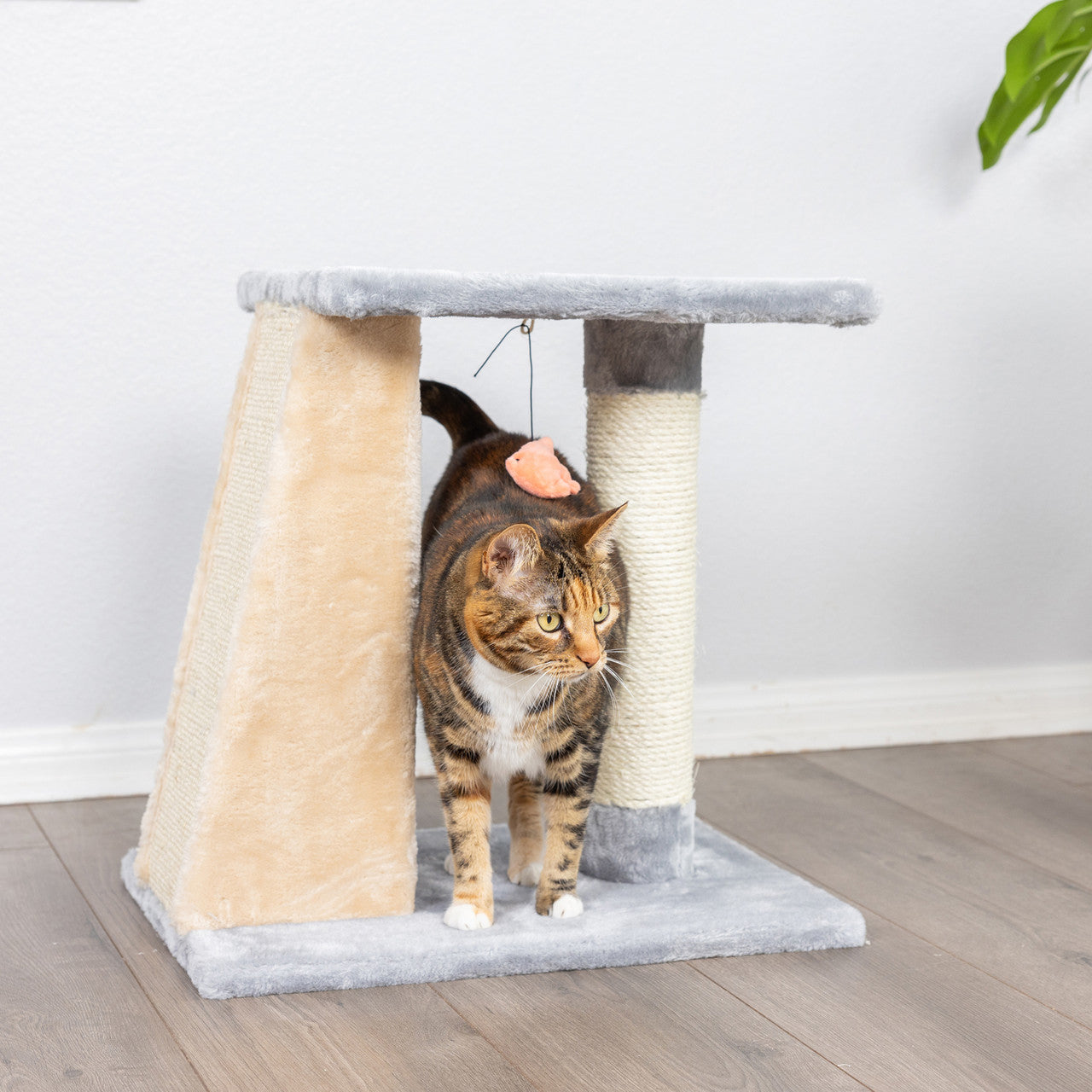 Armarkat 2-Level Platform Scratcher - - Cat Scratcher by Armarkat