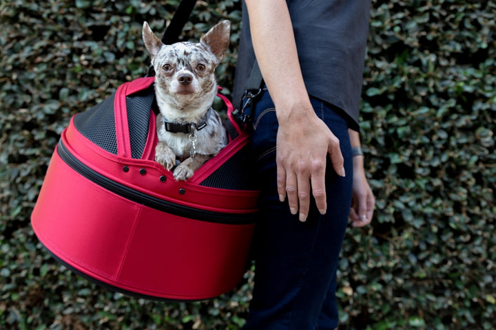 Sleepypod Mobile Pet Bed - - Pet Carrier by Sleepypod