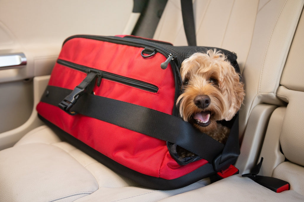 Sleepypod Air Pet Carrier - - Pet Carrier by Sleepypod