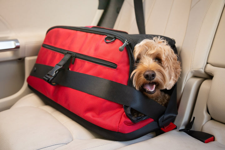 Sleepypod Air Pet Carrier - - Pet Carrier by Sleepypod